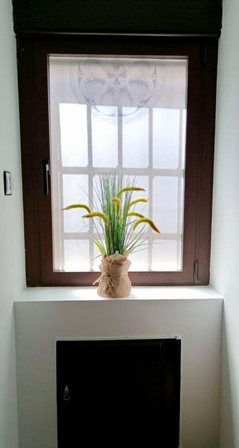 Willa La Casita Zamora Zewnętrze zdjęcie